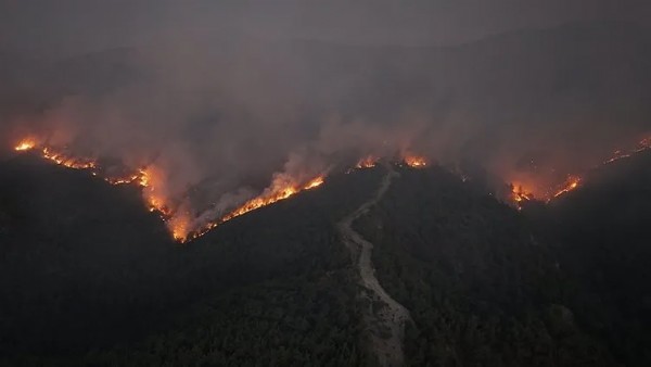 Sakarya ve Bilecik’te orman yangını! Alevlerle mücadele ikinci gününde
